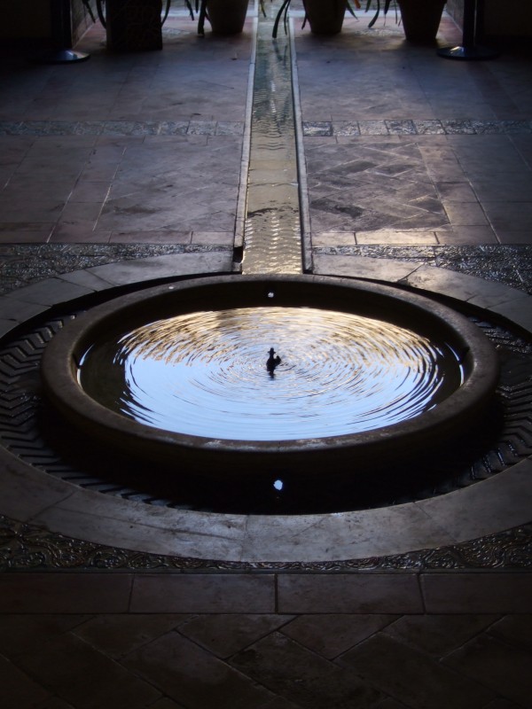 Anadalusien 2009 - 0778 